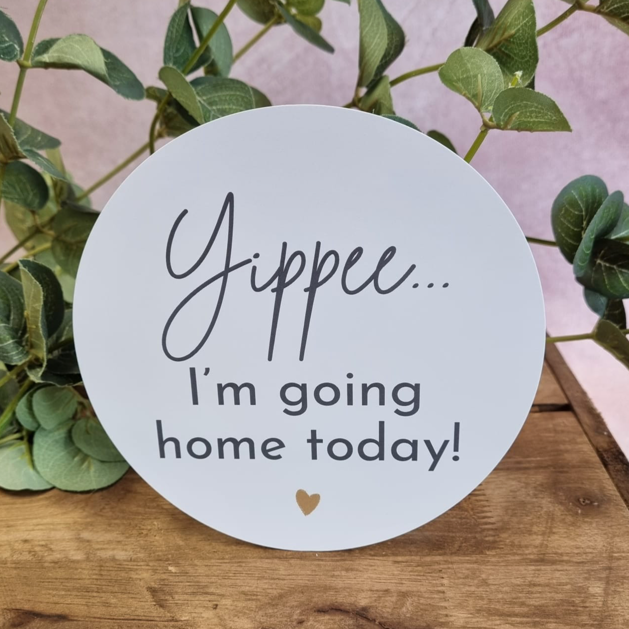 ENGLISH VERSION - "Yippee... I'm Going Home Today" Disc