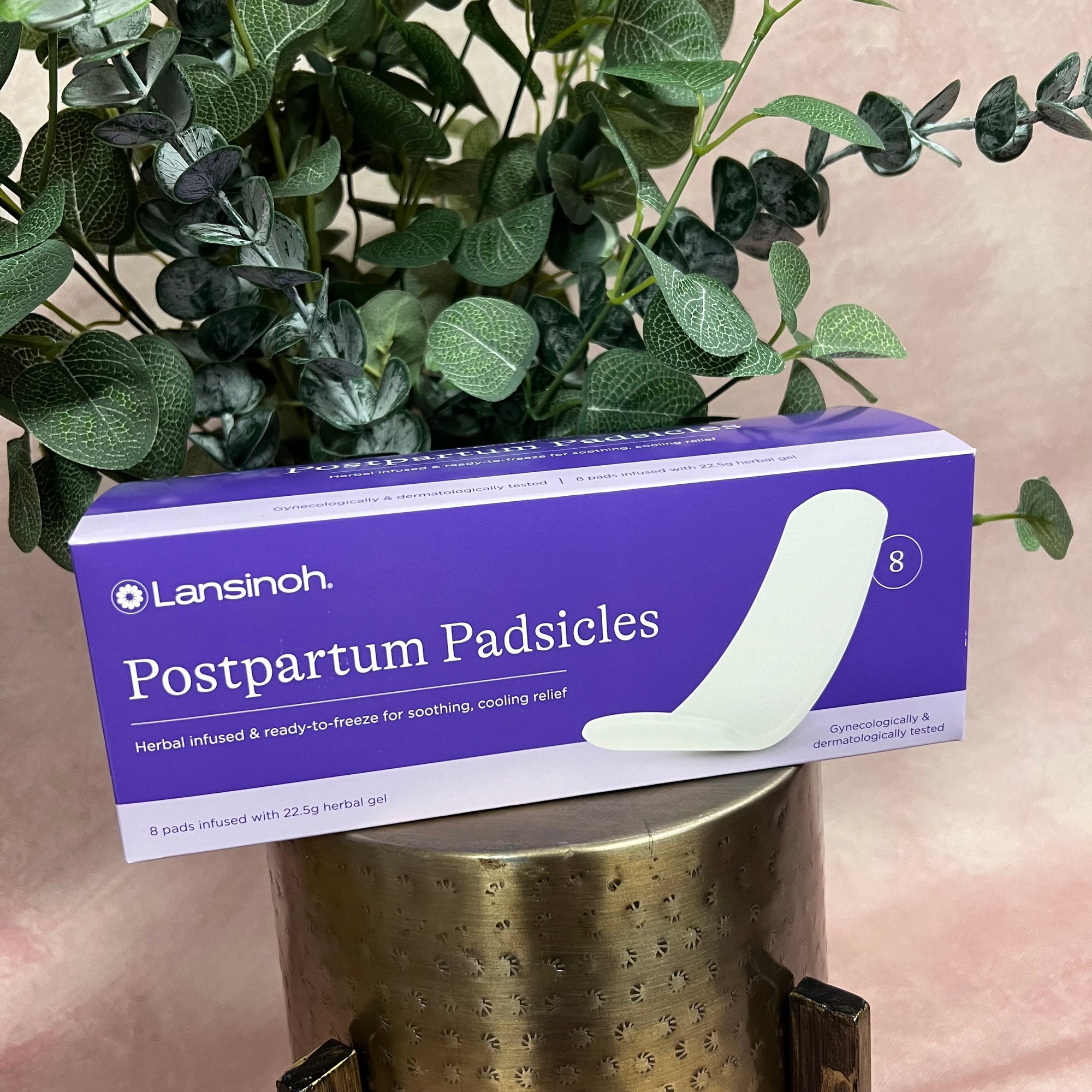 Lansinoh Postpartum Padsicles