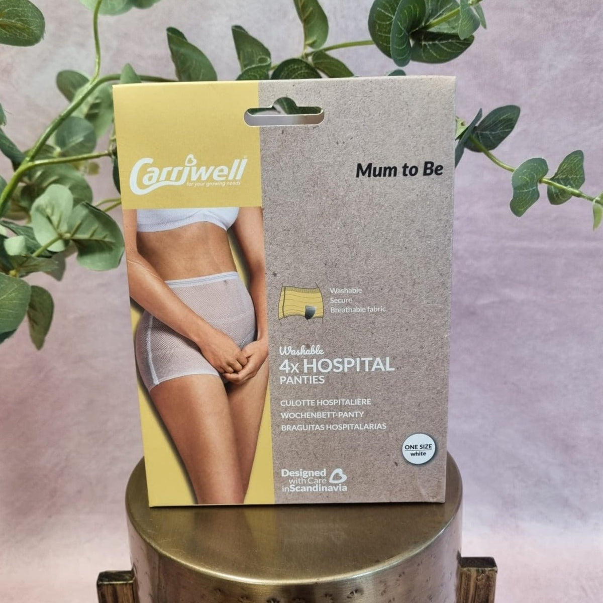 Carriwell Washable Hospital Panties (4 pack)