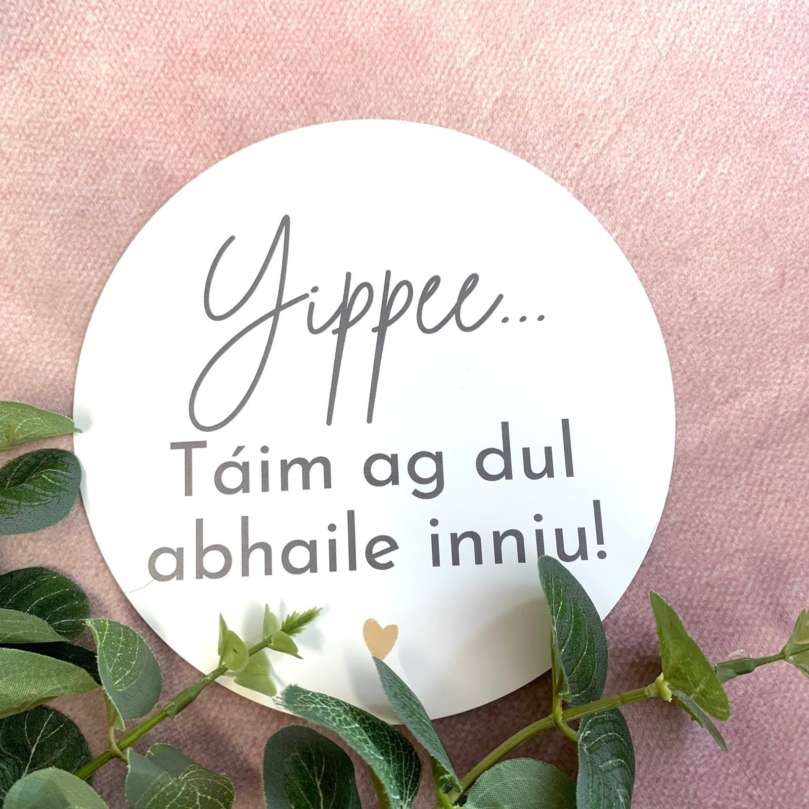 IRISH VERSION - "Yippee... Táim ag dul abhaile inniu" Disc ☘️