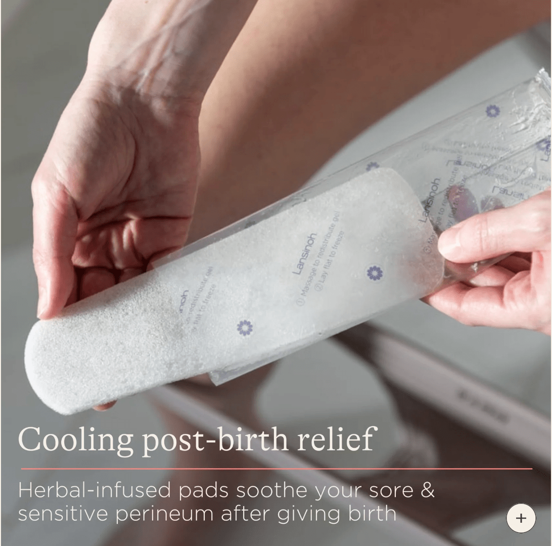 Lansinoh Postpartum Padsicles