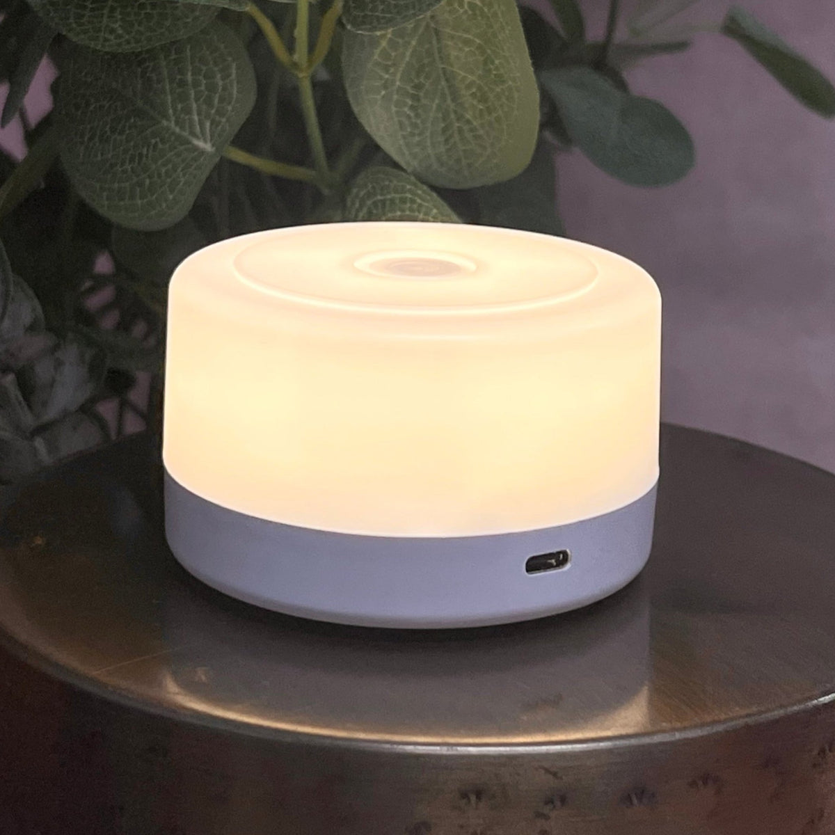 Mini LED Touch Light ☘️