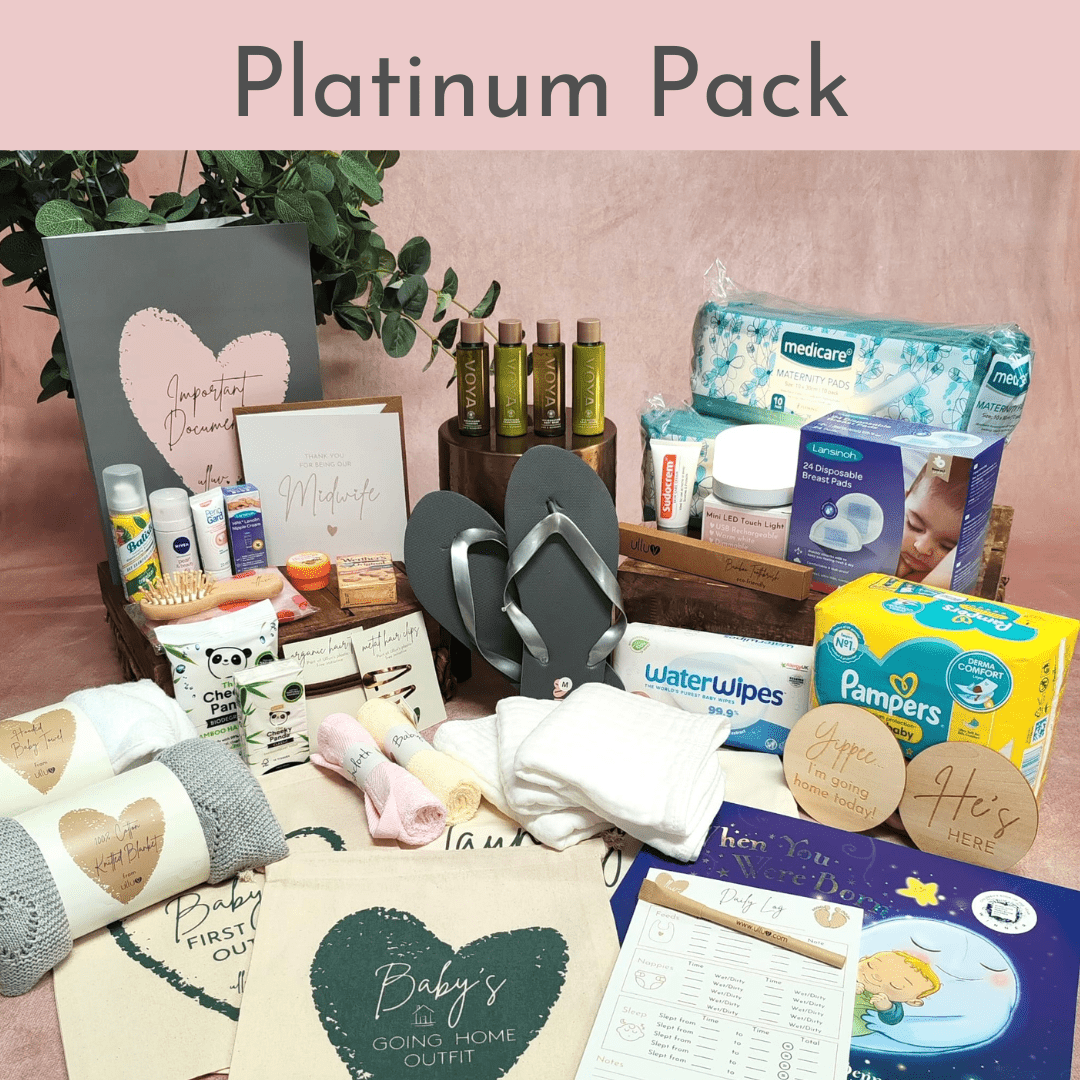 Signature Wheelie Case Set - Dark Grey ☘️