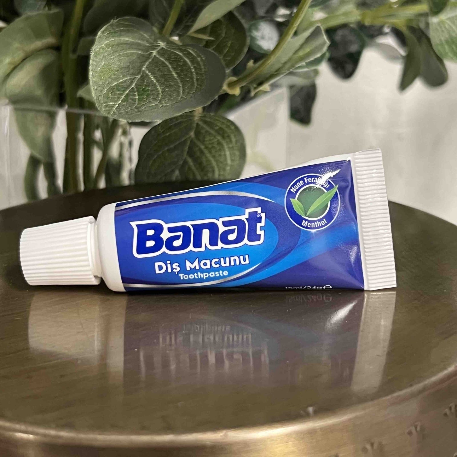 Travel-Sized Toothpaste