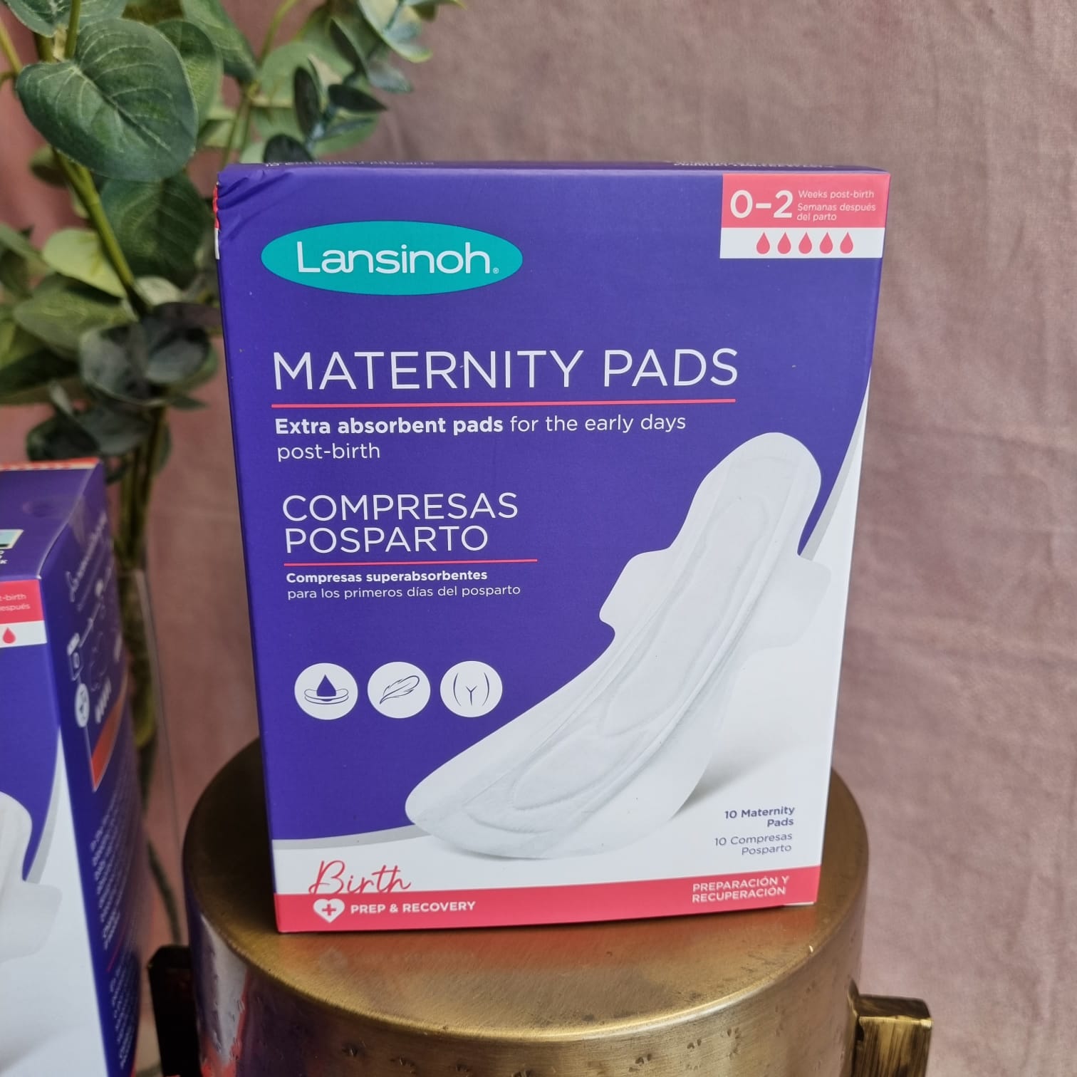 Lansinoh D Absorbent Maternity Pads 12 pack